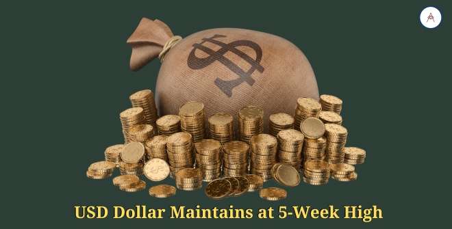USD Dollar Maintains at 5-Week High