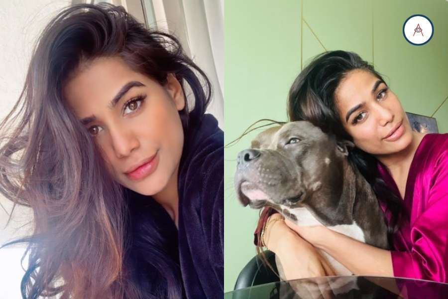 Poonam Pandey Confirms She’s Alive in Video Statement